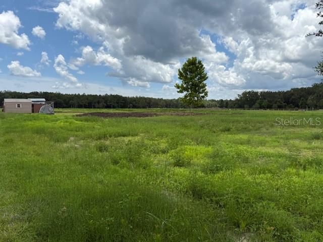 For Sale: $230,000 (5.00 acres)