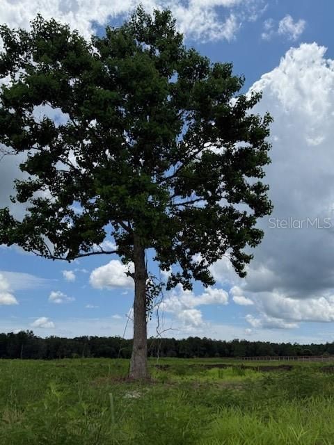 For Sale: $230,000 (5.00 acres)