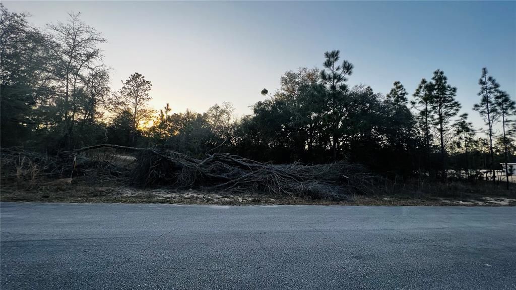 待售: $45,000 (0.95 acres)