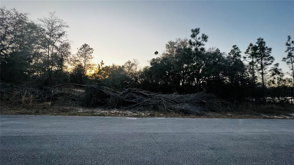 待售: $45,000 (0.95 acres)