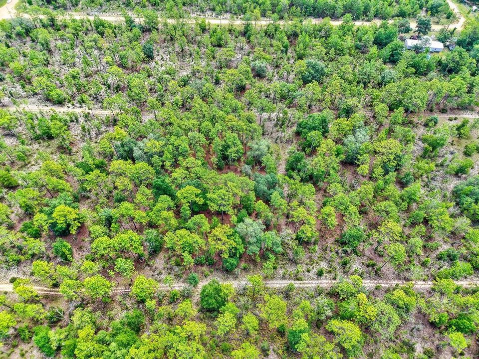 На продажу: $125,000 (9.75 acres)