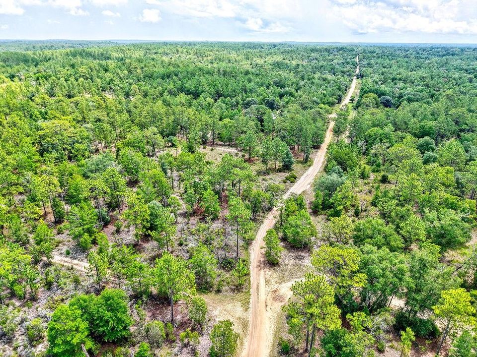 На продажу: $125,000 (9.75 acres)