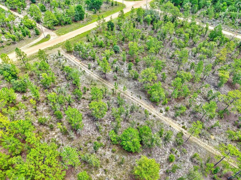 На продажу: $125,000 (9.75 acres)