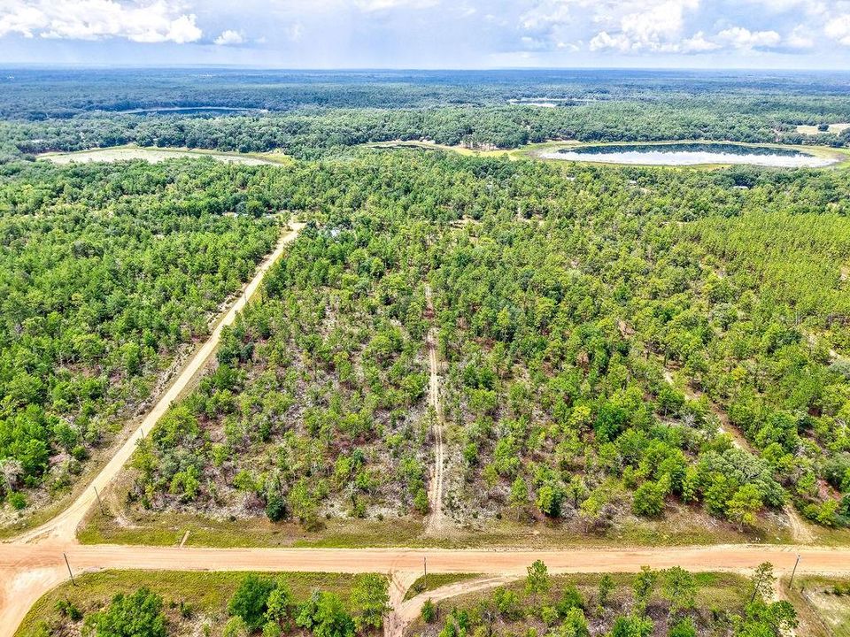 На продажу: $125,000 (9.75 acres)