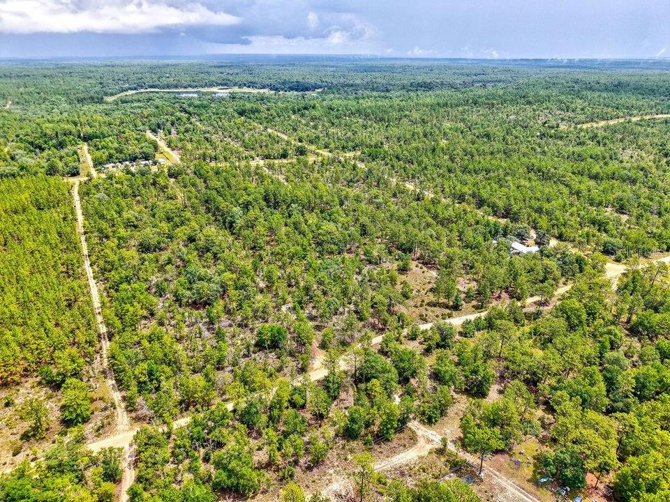 На продажу: $125,000 (9.75 acres)