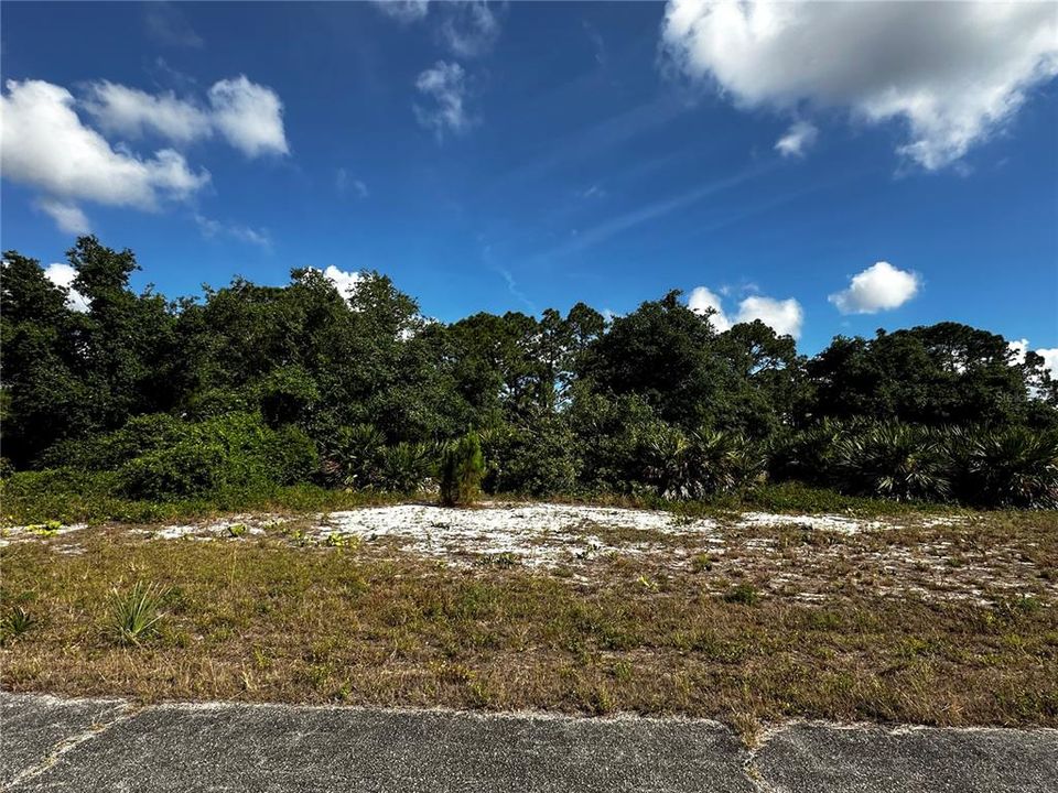 待售: $22,800 (0.26 acres)