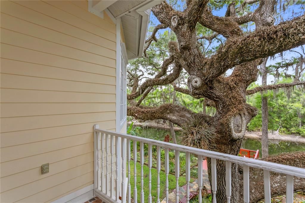 合同活跃: $875,000 (4 贝兹, 3 浴室, 3024 平方英尺)