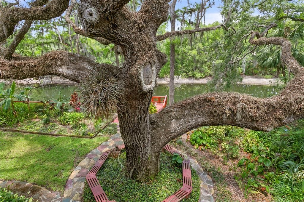 合同活跃: $875,000 (4 贝兹, 3 浴室, 3024 平方英尺)