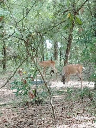 На продажу: $599,900 (2 спален, 2 ванн, 1698 Квадратных фут)