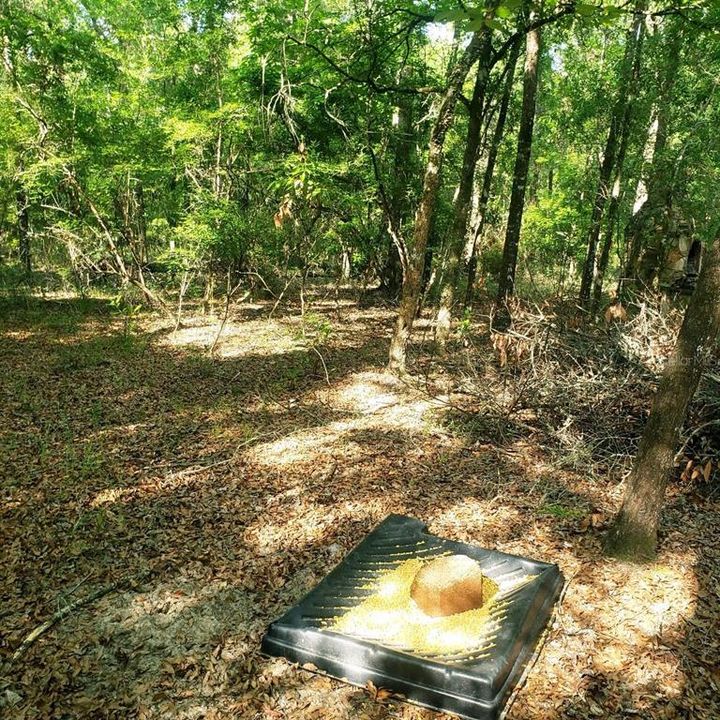 На продажу: $599,900 (2 спален, 2 ванн, 1698 Квадратных фут)