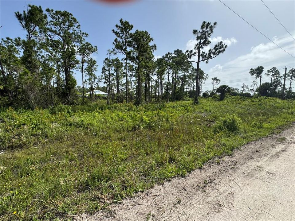 For Sale: $75,000 (1.25 acres)