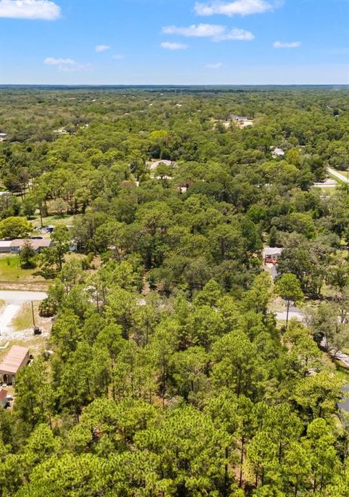 待售: $99,000 (1.10 acres)