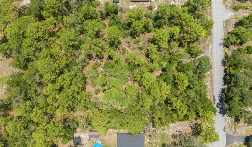 待售: $99,000 (1.10 acres)