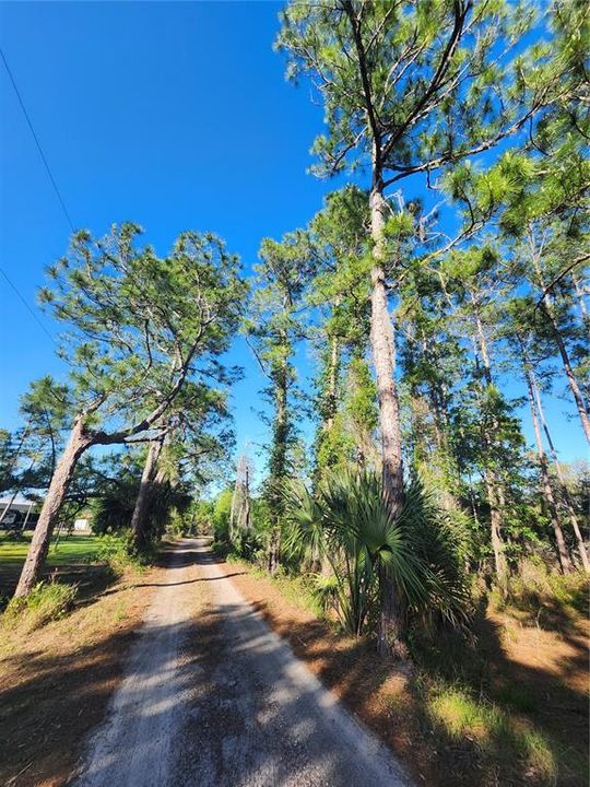 For Sale: $120,000 (1.97 acres)