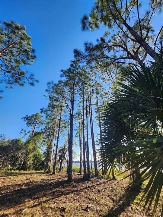 For Sale: $120,000 (1.97 acres)