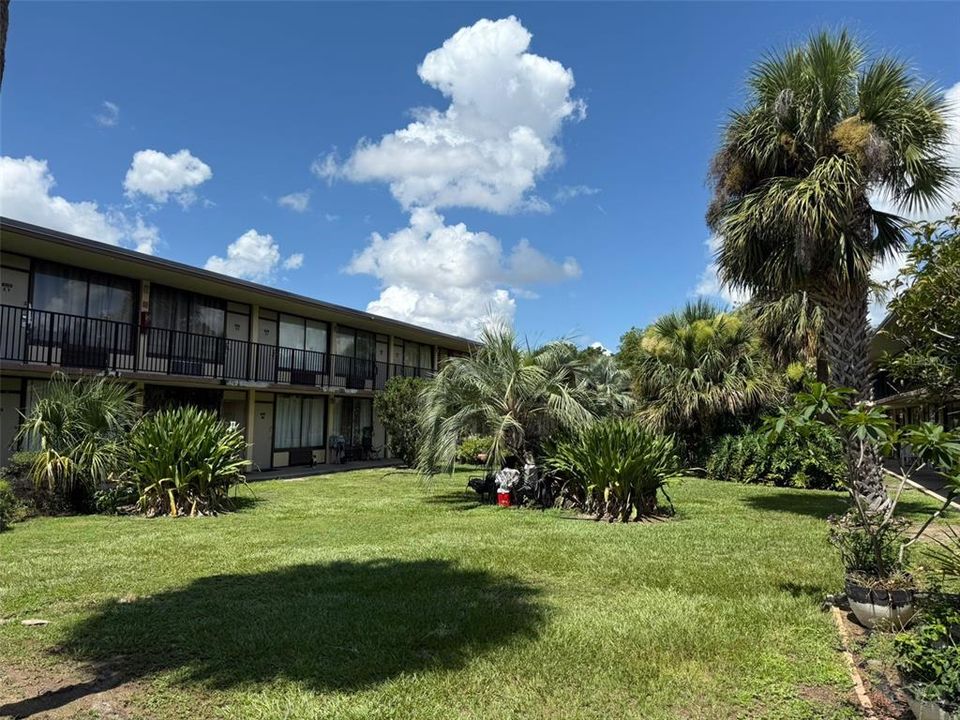 出租: $1,000 (1 贝兹, 1 浴室, 276 平方英尺)