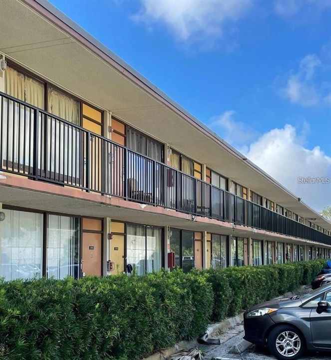 出租: $1,000 (1 贝兹, 1 浴室, 276 平方英尺)