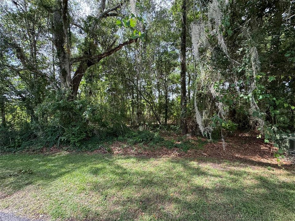 For Sale: $29,900 (0.15 acres)