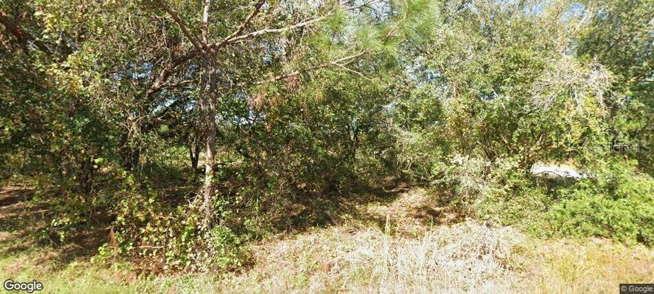 For Sale: $50,000 (0.25 acres)