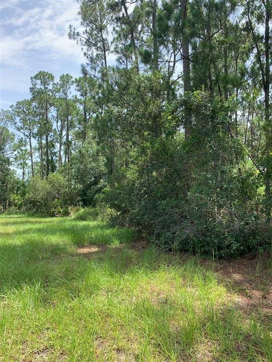 For Sale: $95,000 (0.45 acres)