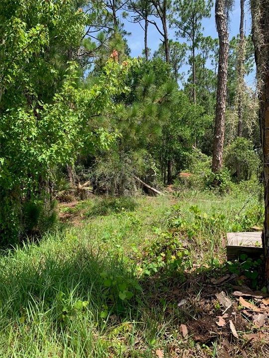 For Sale: $95,000 (0.45 acres)