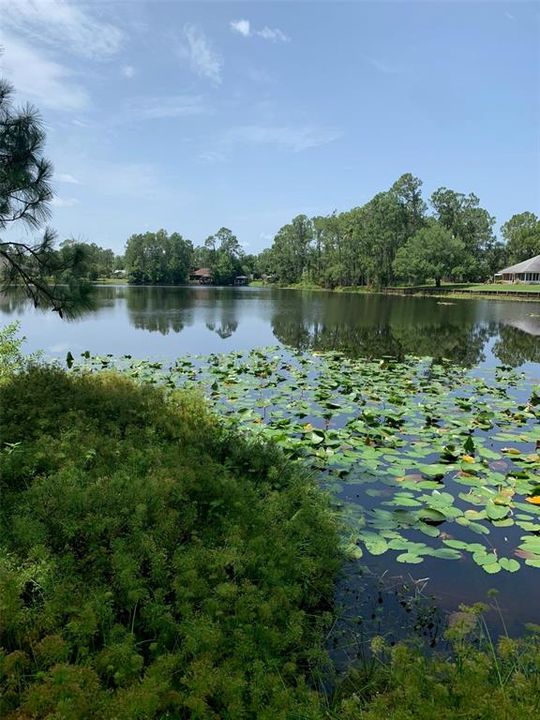 For Sale: $95,000 (0.45 acres)