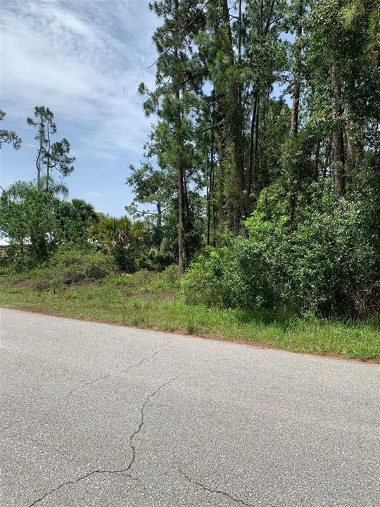 For Sale: $95,000 (0.45 acres)