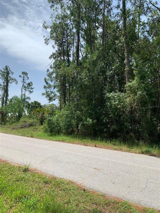 For Sale: $95,000 (0.45 acres)