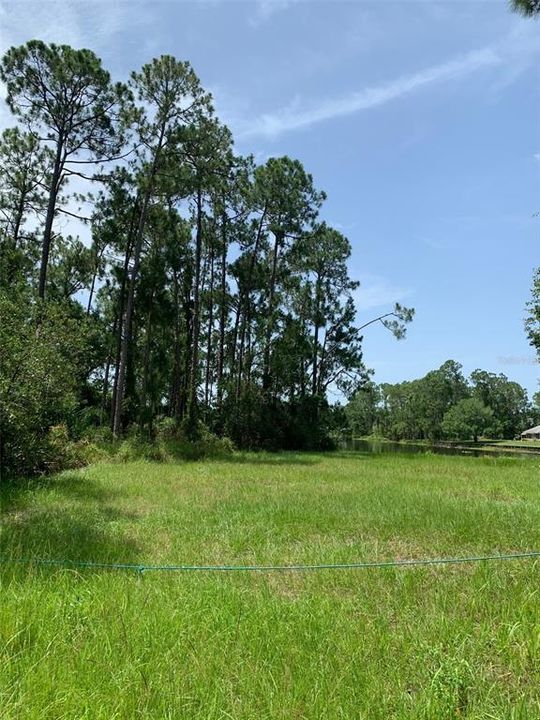 For Sale: $95,000 (0.45 acres)