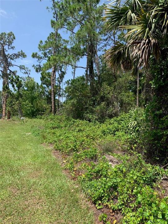 For Sale: $95,000 (0.45 acres)