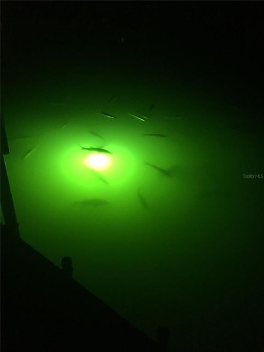 For Sale: $775,000 (3 beds, 2 baths, 1992 Square Feet)