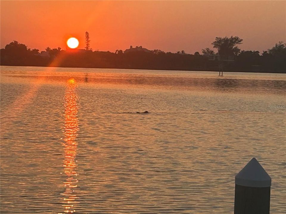 For Sale: $449,900 (2 beds, 2 baths, 1574 Square Feet)