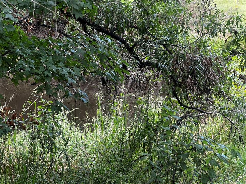 For Sale: $215,000 (2.30 acres)