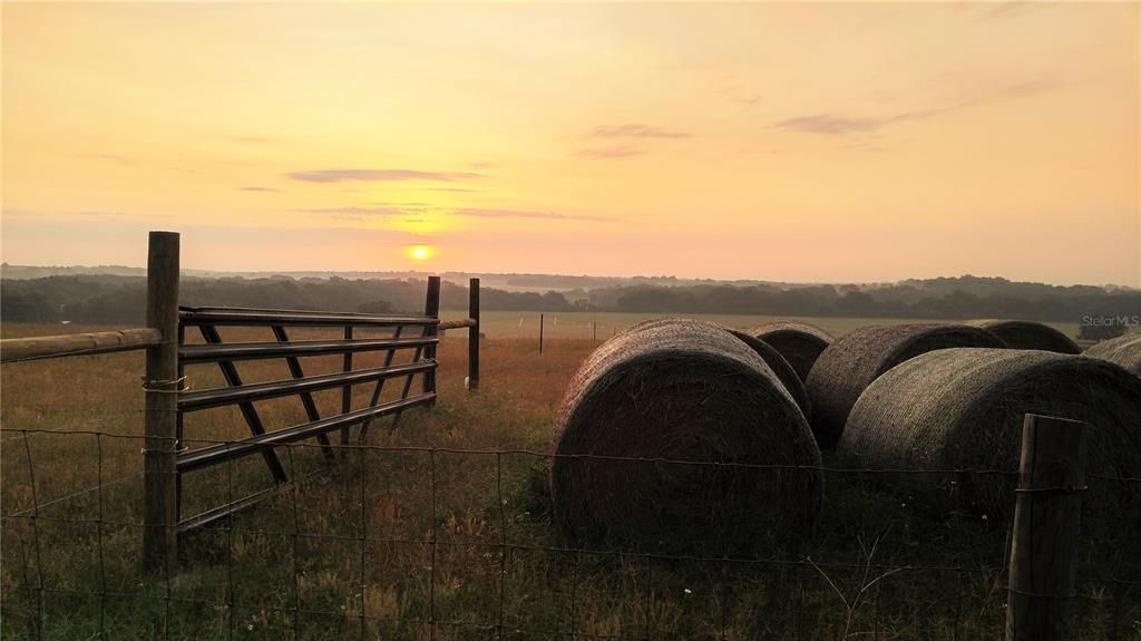 На продажу: $2,600,000 (4.81 acres)