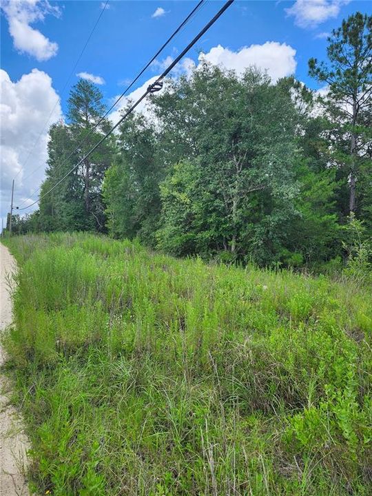 For Sale: $70,800 (3.10 acres)