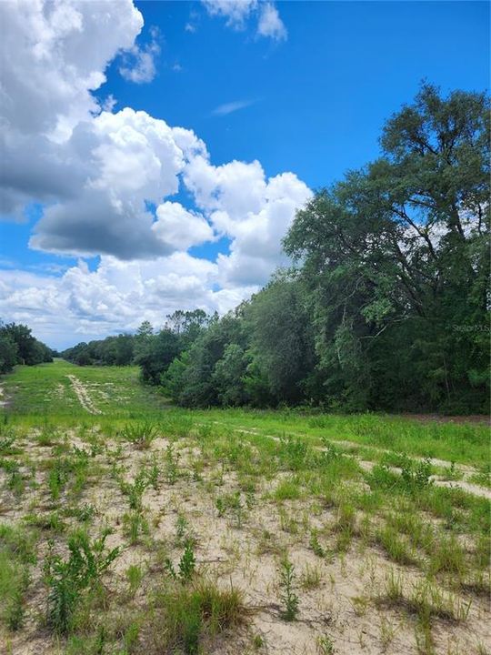 For Sale: $70,800 (3.10 acres)