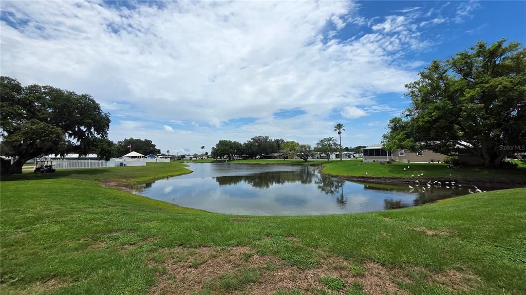 待售: $259,900 (2 贝兹, 2 浴室, 1440 平方英尺)