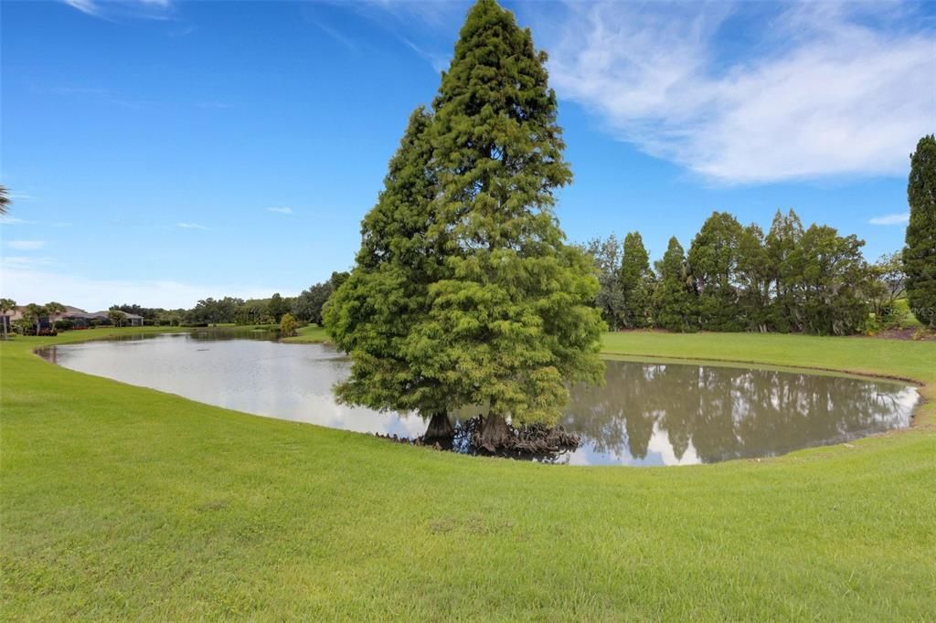 For Sale: $995,000 (3 beds, 2 baths, 2679 Square Feet)