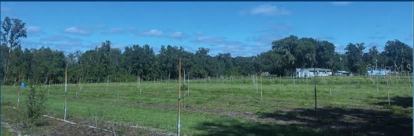 En Venta: $299,900 (11.31 acres)