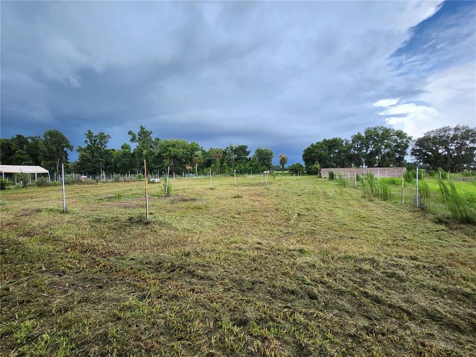 En Venta: $299,900 (11.31 acres)
