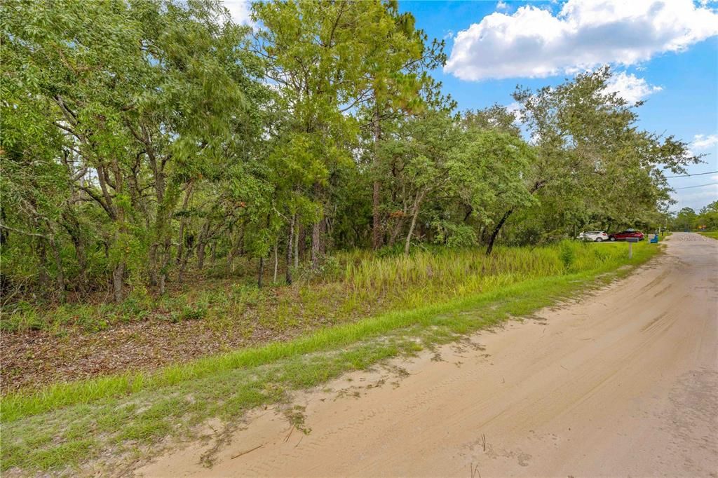 待售: $72,999 (1.19 acres)