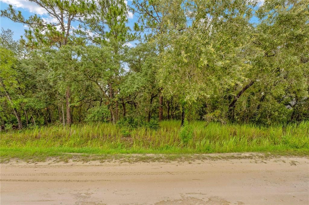 待售: $72,999 (1.19 acres)