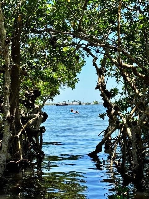 合同活跃: $1,095,000 (4 贝兹, 3 浴室, 2604 平方英尺)