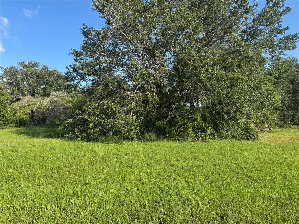Active With Contract: $39,900 (0.72 acres)