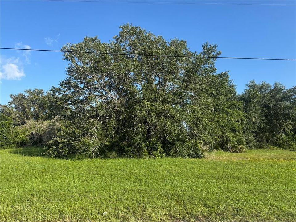 Active With Contract: $39,900 (0.72 acres)