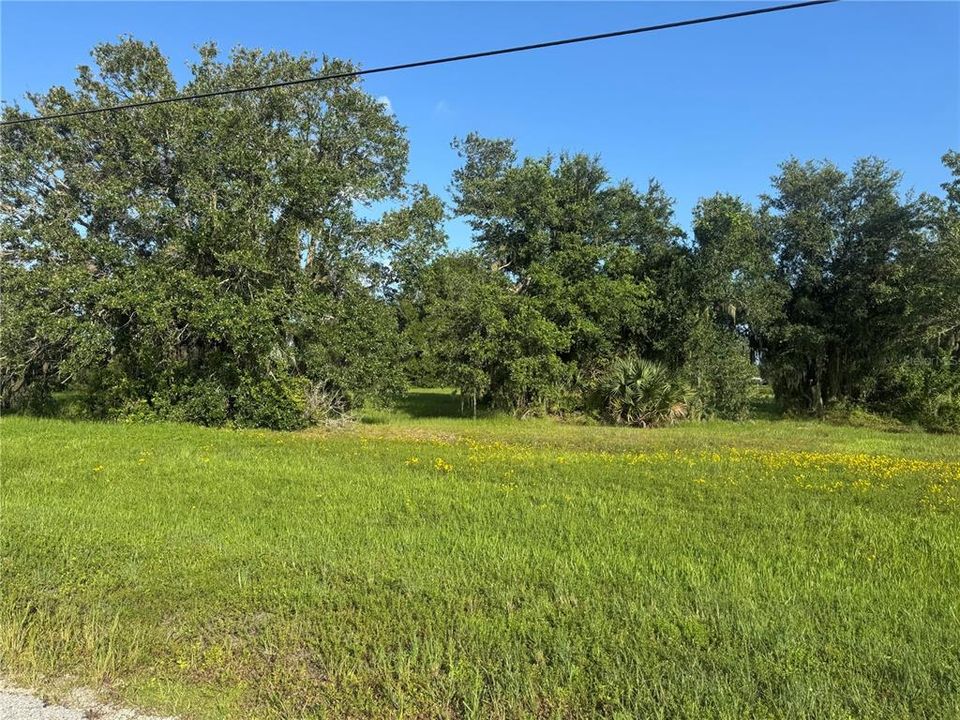 Active With Contract: $39,900 (0.72 acres)
