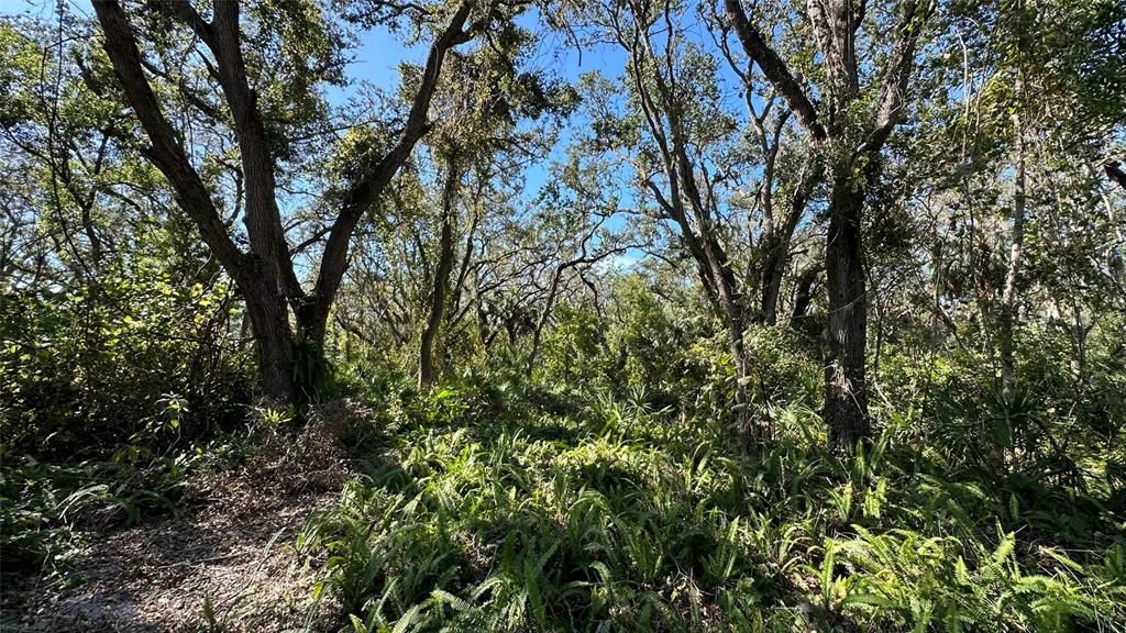 For Sale: $2,099,000 (4.19 acres)