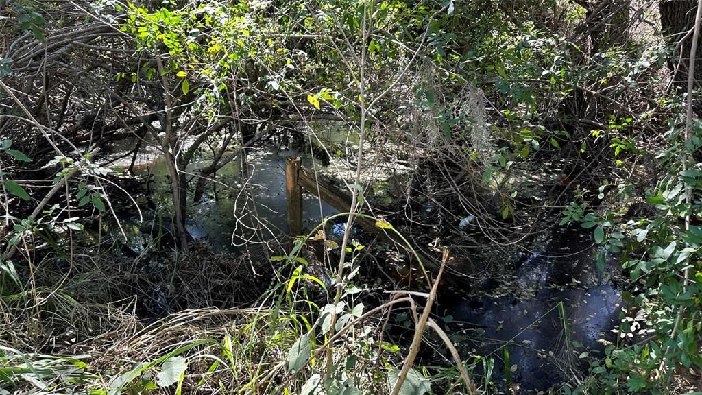 For Sale: $2,099,000 (4.19 acres)