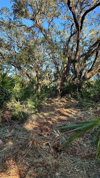 For Sale: $2,099,000 (4.19 acres)