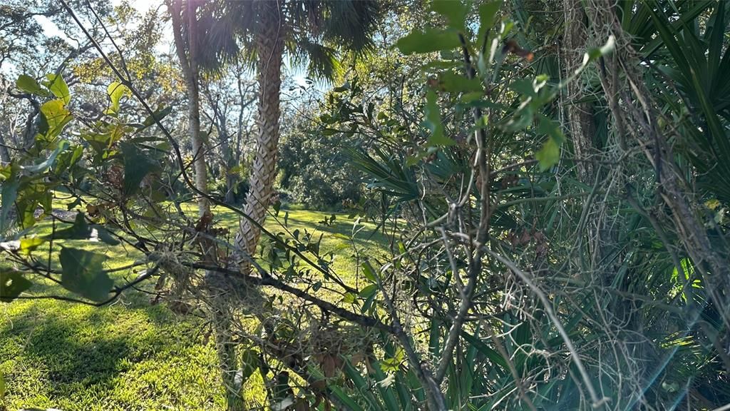 For Sale: $2,099,000 (4.19 acres)